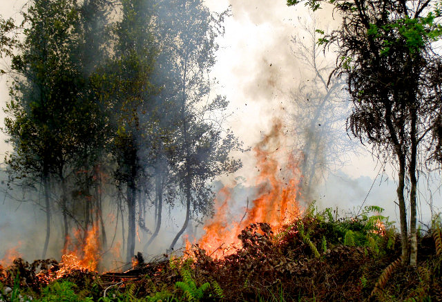 Health Effects of Haze (and How You Can Protect Yourself