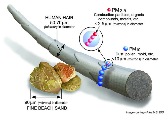 How Big is Particulate Matter 2.5